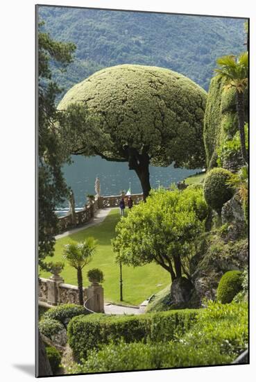 Terrace with Giant Topiary, Villa Barbonella, Lake Como, Lombardy, Italy, Europe-James Emmerson-Mounted Photographic Print