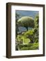 Terrace with Giant Topiary, Villa Barbonella, Lake Como, Lombardy, Italy, Europe-James Emmerson-Framed Photographic Print