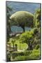 Terrace with Giant Topiary, Villa Barbonella, Lake Como, Lombardy, Italy, Europe-James Emmerson-Mounted Photographic Print