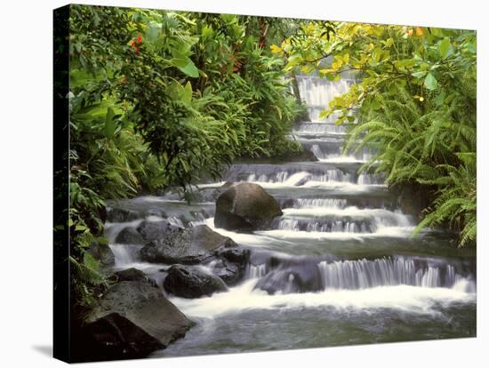 Terraced Falls-Monte Nagler-Stretched Canvas