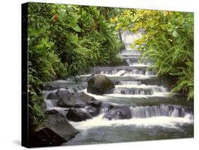 Terraced Falls-Monte Nagler-Stretched Canvas