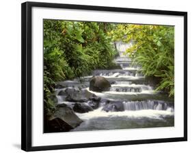 Terraced Falls-Monte Nagler-Framed Photographic Print