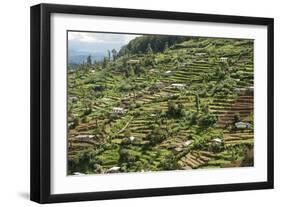 Terraced Farmland Above Ambewela, Hill Country, Sri Lanka, Asia-Tony Waltham-Framed Photographic Print