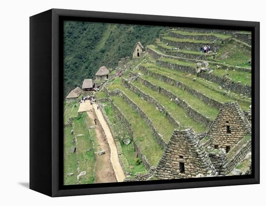 Terraced Fields at Machu Picchu-Dave G. Houser-Framed Stretched Canvas