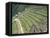 Terraced Fields at Machu Picchu-Dave G. Houser-Framed Stretched Canvas