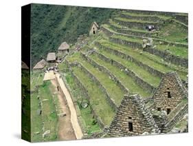 Terraced Fields at Machu Picchu-Dave G. Houser-Stretched Canvas