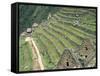 Terraced Fields at Machu Picchu-Dave G. Houser-Framed Stretched Canvas