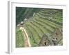 Terraced Fields at Machu Picchu-Dave G. Houser-Framed Photographic Print