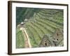 Terraced Fields at Machu Picchu-Dave G. Houser-Framed Photographic Print