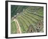 Terraced Fields at Machu Picchu-Dave G. Houser-Framed Photographic Print