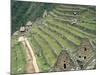 Terraced Fields at Machu Picchu-Dave G. Houser-Mounted Photographic Print