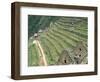 Terraced Fields at Machu Picchu-Dave G. Houser-Framed Photographic Print