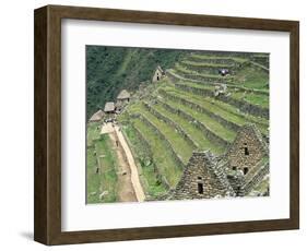 Terraced Fields at Machu Picchu-Dave G. Houser-Framed Photographic Print