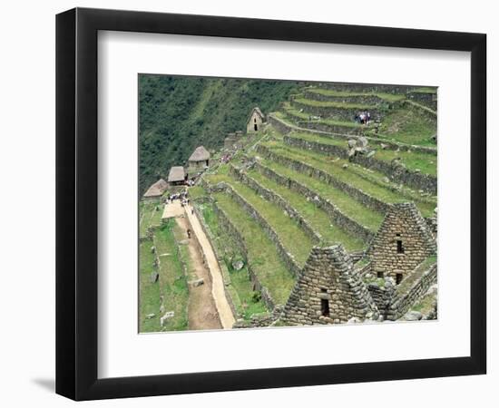 Terraced Fields at Machu Picchu-Dave G. Houser-Framed Photographic Print