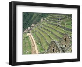 Terraced Fields at Machu Picchu-Dave G. Houser-Framed Photographic Print