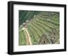 Terraced Fields at Machu Picchu-Dave G. Houser-Framed Photographic Print