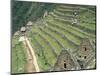 Terraced Fields at Machu Picchu-Dave G. Houser-Mounted Photographic Print