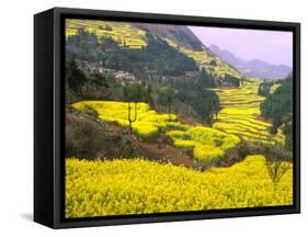 Terraced Fields of Yellow Rape Flowers, China-Charles Crust-Framed Stretched Canvas