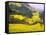 Terraced Fields of Yellow Rape Flowers, China-Charles Crust-Framed Stretched Canvas