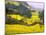 Terraced Fields of Yellow Rape Flowers, China-Charles Crust-Mounted Photographic Print