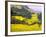 Terraced Fields of Yellow Rape Flowers, China-Charles Crust-Framed Photographic Print