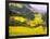 Terraced Fields of Yellow Rape Flowers, China-Charles Crust-Framed Photographic Print