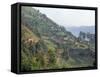 Terraced Fields on the Road to Kisoro, Southwestern Area, Uganda, East Africa, Africa-David Poole-Framed Stretched Canvas