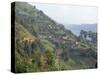 Terraced Fields on the Road to Kisoro, Southwestern Area, Uganda, East Africa, Africa-David Poole-Stretched Canvas