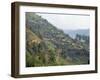 Terraced Fields on the Road to Kisoro, Southwestern Area, Uganda, East Africa, Africa-David Poole-Framed Photographic Print