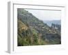 Terraced Fields on the Road to Kisoro, Southwestern Area, Uganda, East Africa, Africa-David Poole-Framed Photographic Print