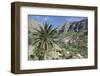 Terraced Fields, Valle Gran Rey, La Gomera, Canary Islands, Spain, Europe-Markus Lange-Framed Photographic Print