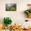 Terraced Hillside at the Coast, Portofino, Italy-George Oze-Photographic Print displayed on a wall