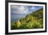 Terraced Hillside at the Coast, Portofino, Italy-George Oze-Framed Photographic Print