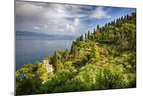 Terraced Hillside at the Coast, Portofino, Italy-George Oze-Mounted Photographic Print