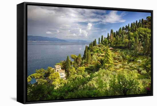 Terraced Hillside at the Coast, Portofino, Italy-George Oze-Framed Stretched Canvas