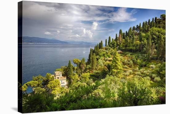 Terraced Hillside at the Coast, Portofino, Italy-George Oze-Stretched Canvas