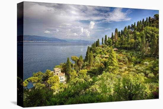 Terraced Hillside at the Coast, Portofino, Italy-George Oze-Stretched Canvas