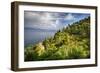 Terraced Hillside at the Coast, Portofino, Italy-George Oze-Framed Photographic Print