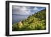 Terraced Hillside at the Coast, Portofino, Italy-George Oze-Framed Photographic Print