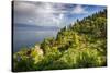 Terraced Hillside at the Coast, Portofino, Italy-George Oze-Stretched Canvas