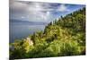 Terraced Hillside at the Coast, Portofino, Italy-George Oze-Mounted Photographic Print