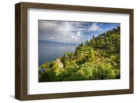 Terraced Hillside at the Coast, Portofino, Italy-George Oze-Framed Photographic Print