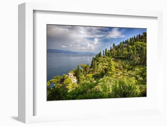 Terraced Hillside at the Coast, Portofino, Italy-George Oze-Framed Photographic Print