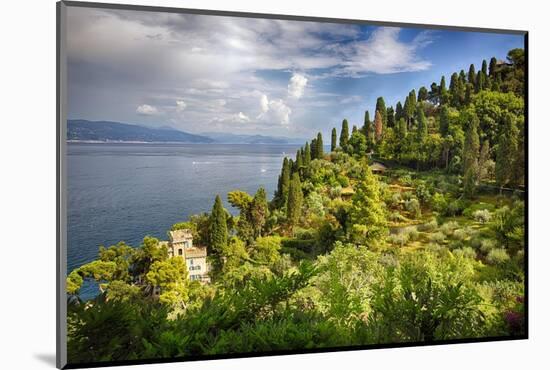 Terraced Hillside at the Coast, Portofino, Italy-George Oze-Mounted Photographic Print