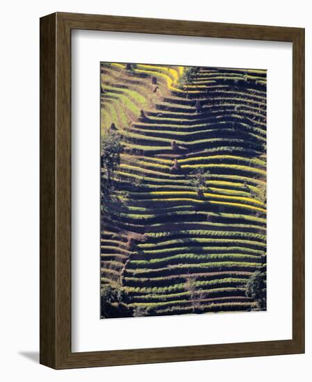 Terraced Hillside, Nepal-Jon Arnold-Framed Photographic Print