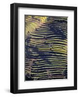 Terraced Hillside, Nepal-Jon Arnold-Framed Photographic Print