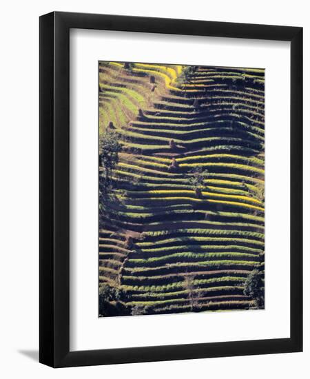 Terraced Hillside, Nepal-Jon Arnold-Framed Photographic Print
