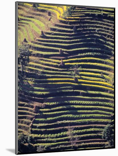 Terraced Hillside, Nepal-Jon Arnold-Mounted Photographic Print