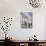 Terraced Houses and Wrought Iron Railings, Kensington, London, England, UK-Mark Mawson-Photographic Print displayed on a wall