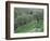 Terraced Olive Grove, Samos, Greece-Rolf Nussbaumer-Framed Premium Photographic Print